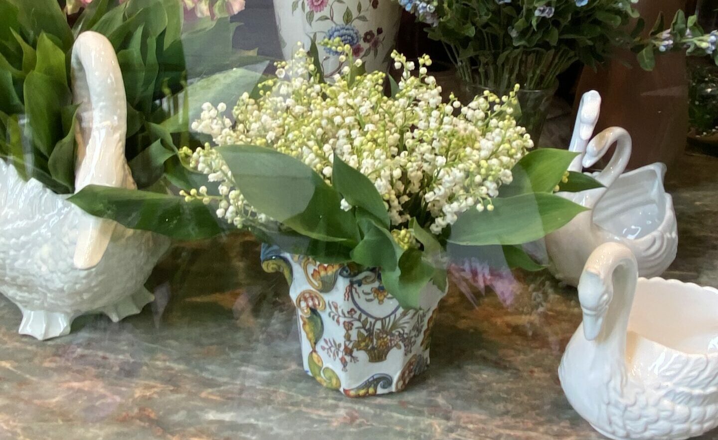 Lily of the valley plant in a shop window.