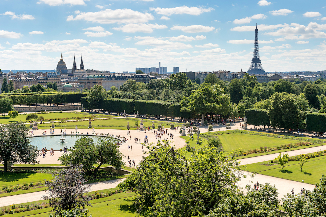 Jardin des Tuileries. Toned photo